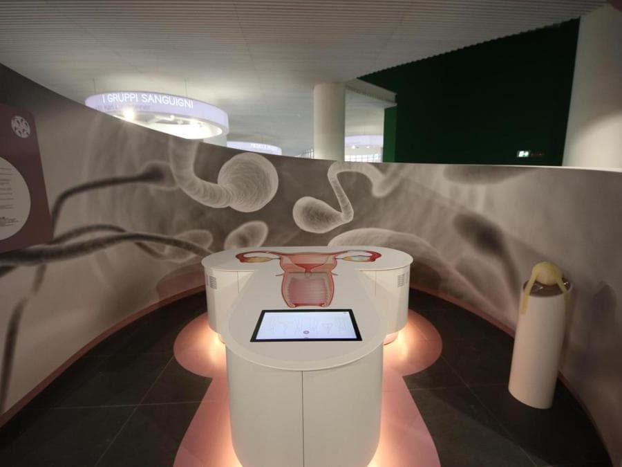 Inaugurazione del museo interattivo Corporea, Museo del Corpo Umano, a Città della Scienza, Napoli. (Ansa)