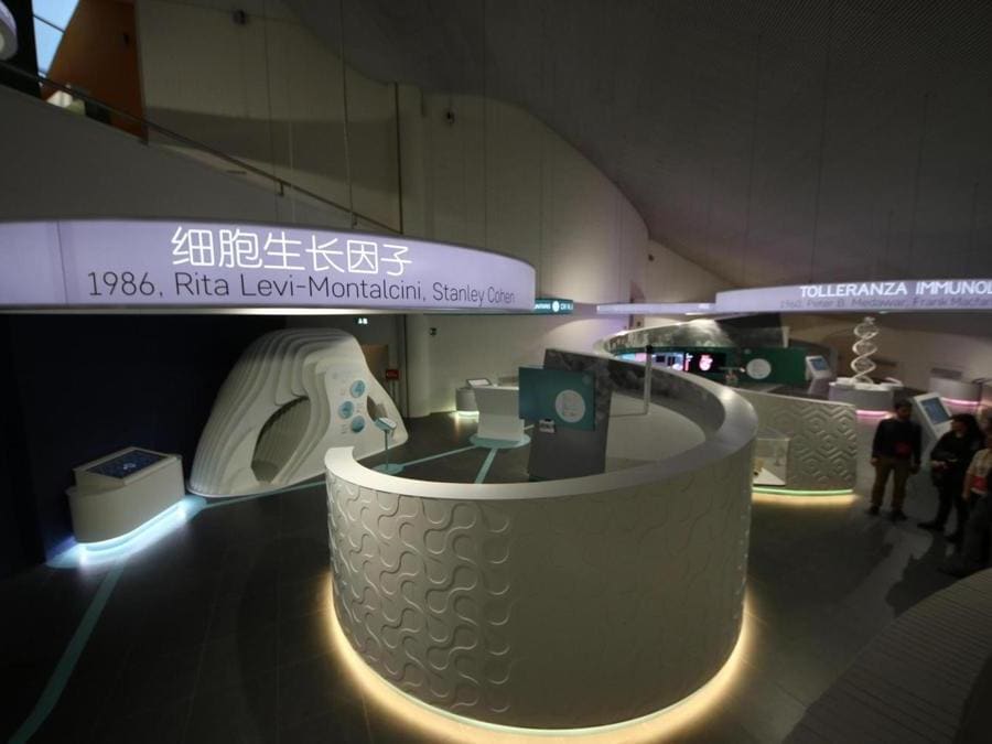 Inaugurazione del museo interattivo Corporea, Museo del Corpo Umano, a Città della Scienza, Napoli. (Ansa)