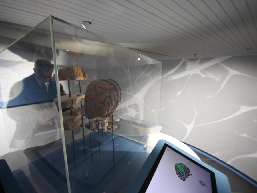 Inaugurazione del museo interattivo Corporea, Museo del Corpo Umano, a Città della Scienza, Napoli. (Ansa)