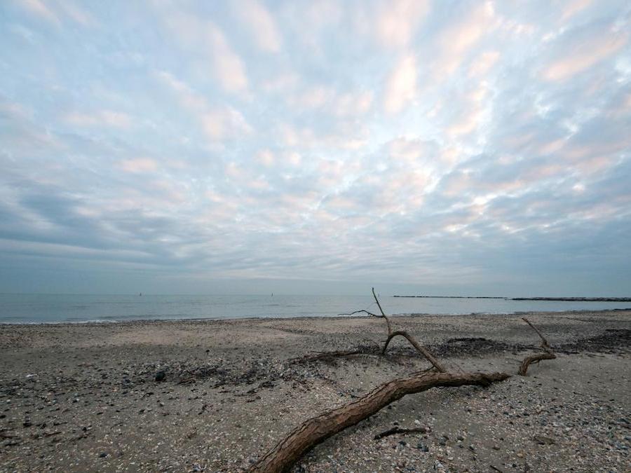 Lido di Classe, Emilia Romagna (Marka)