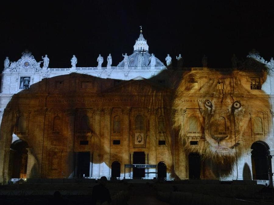 Il leone, uno degli scatti per “Fiat Lux”, lo spettacolo di foto di animali proiettate sulla facciata di San Pietro a Roma per l'apertura del Giubileo della misericordia, l'8.12.2015. Al progetto ha partecipato anche Joel Sartore con alcuni suoi scatti  (Ansa)