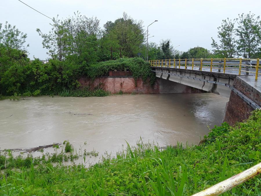 Il torrente Sillaro in un'area golenale nel territorio di Casalfiumanese, nell'Imolese (Ansa)