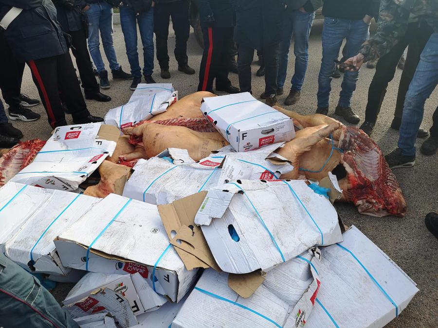 La protesta dei pastori sardi per il crollo del prezzo del latte arriva nello scalo di Porto Torres (Sassari). Oltre un centinaio di contestatori ha fermato i tir frigo imbarcati a Genova. Gli allevatori hanno fermato un mezzo che trasportava carni suine provenienti dalla Francia e hanno gettato gran parte del carico a terra, chiedendo l'intervento delle autorità sanitarie e denunciando “le pessime condizioni della merce destinata al mercato locale”. ANSA/GIAN MARIO SIAS