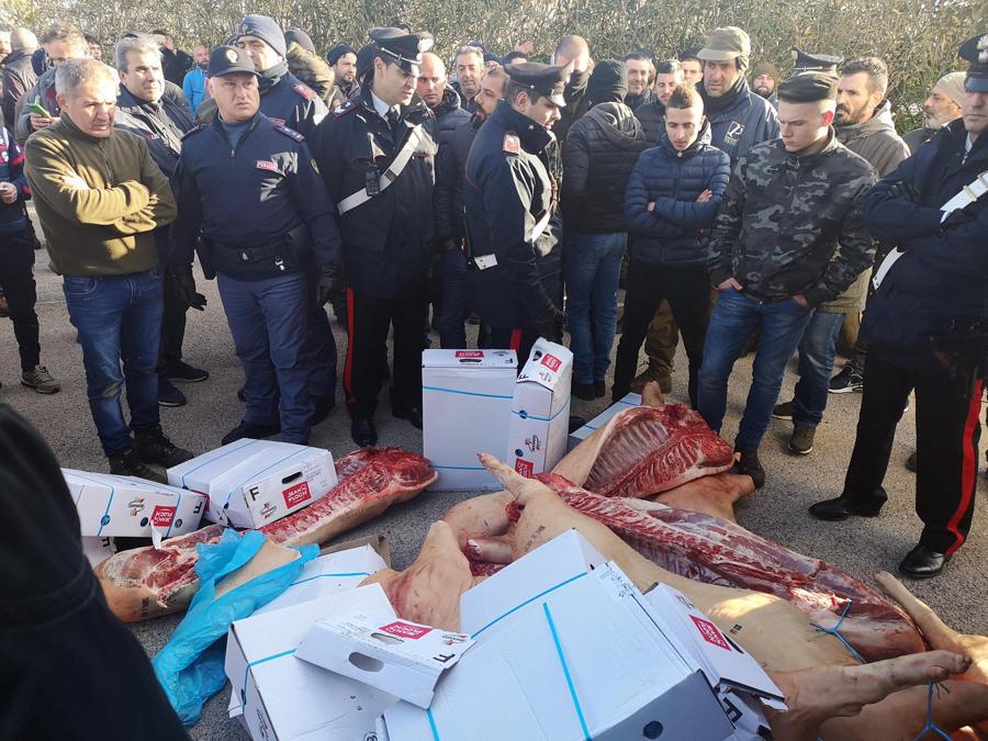 La protesta dei pastori sardi per il crollo del prezzo del latte arriva nello scalo di Porto Torres (Sassari). Oltre un centinaio di contestatori ha fermato i tir frigo imbarcati a Genova. Gli allevatori hanno fermato un mezzo che trasportava carni suine provenienti dalla Francia e hanno gettato gran parte del carico a terra, chiedendo l'intervento delle autorità sanitarie e denunciando “le pessime condizioni della merce destinata al mercato locale”. ANSA/GIAN MARIO SIAS