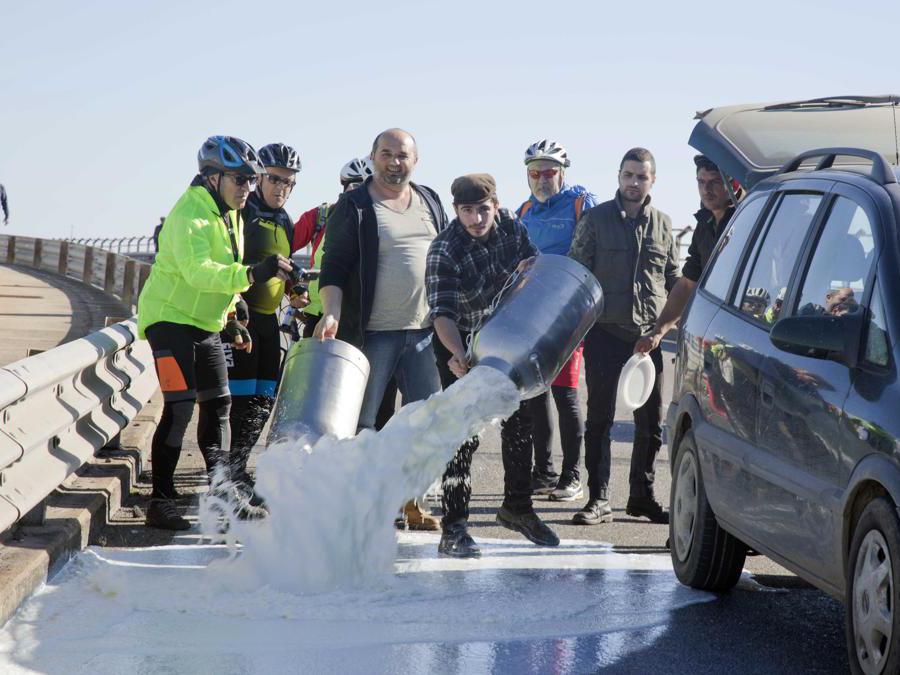Alcuni pastori versano sulla strada il latte bloccando il traffico.  Foto Italy Photo Press/Fabo Murru