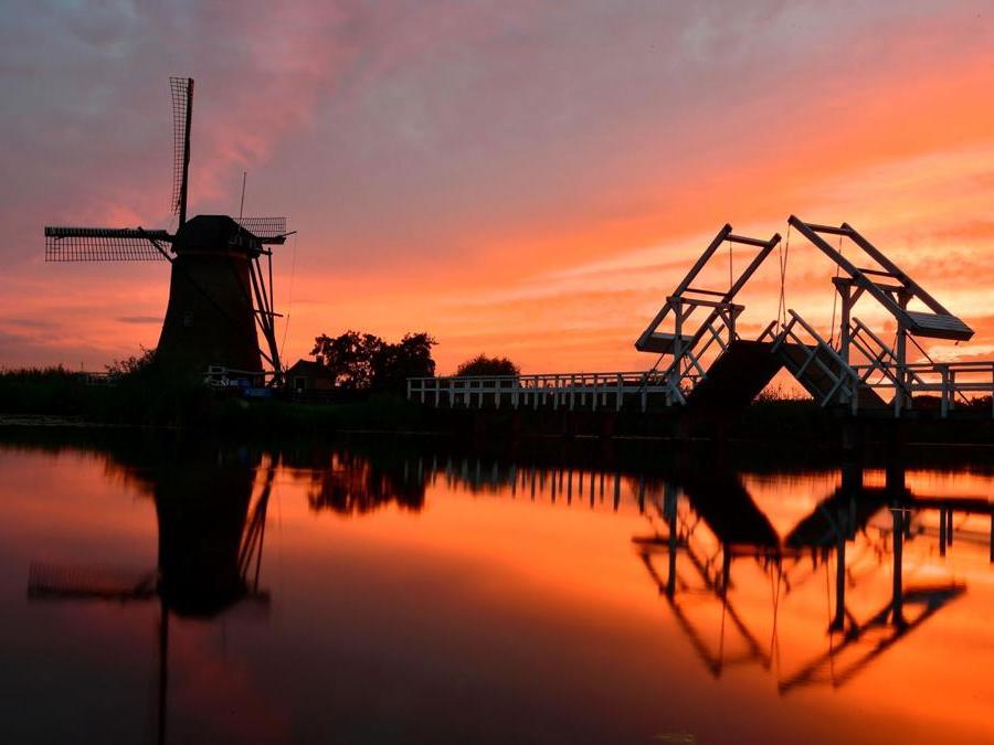 I mulini a vento a Kinderdijk (Paesi Bassi) - (AFP PHOTO / TOBIAS SCHWARZ)