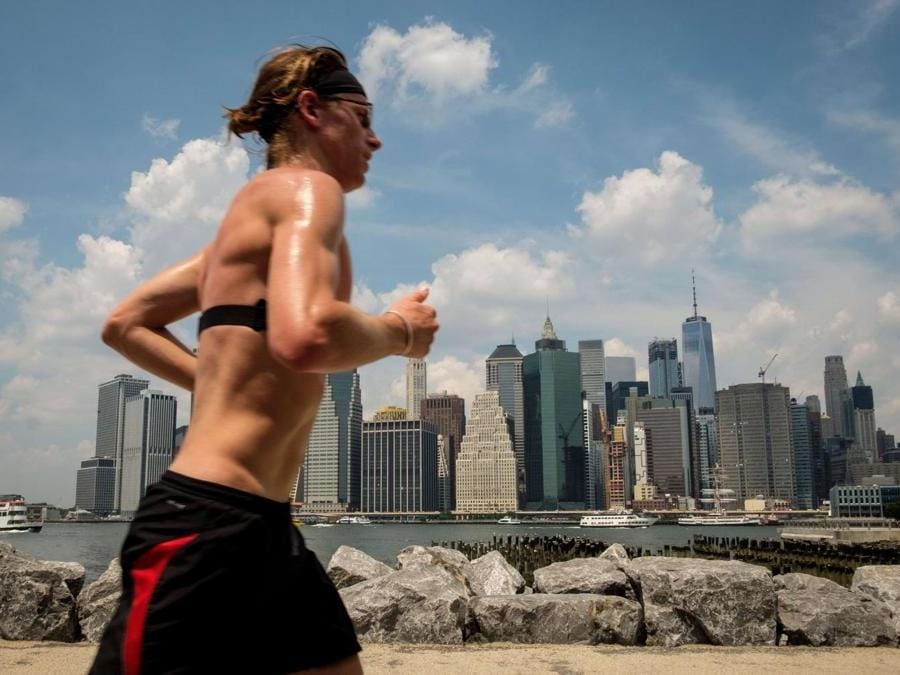 Brooklyn Bridge Park (Drew Angerer/Getty Images/AFP)