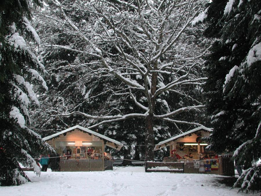 Levico (Valsugana) (Foto: Apt)