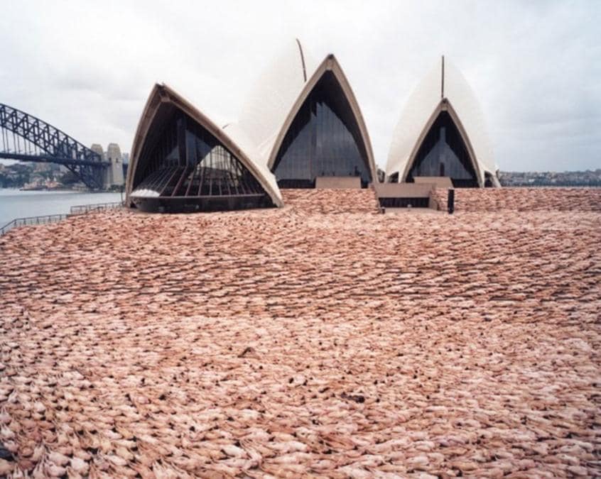Sydney (Spencer Tunick)