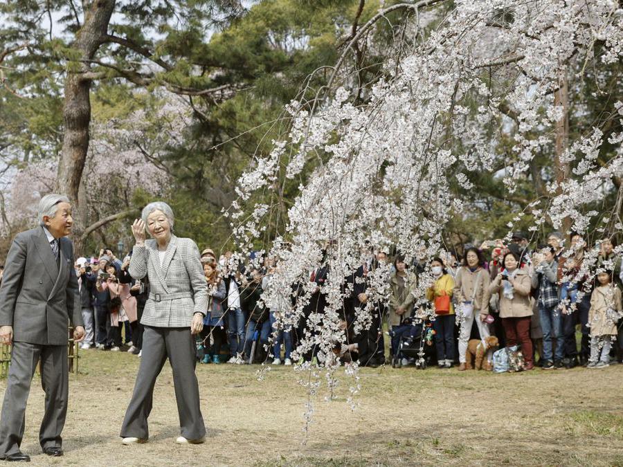 L'imperatore Akihito con la moglie Michiko ammirano lo spettacolo dei ciliegi in fiore a Kyoto. (Yosuke Mizuno/Kyodo News via AP)