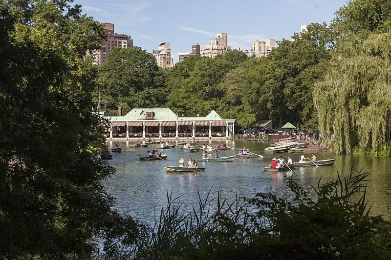 Central Park, Manhattan (© NYC  Company/Tagger Yancey IV)