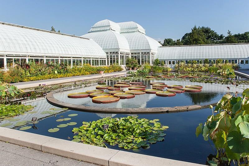 New York Botanical Garden, nel Bronx, ospita più di un milione di piante su una superficie di 100 ettari. (© NYC  Company/Christopher Postlewaitey)