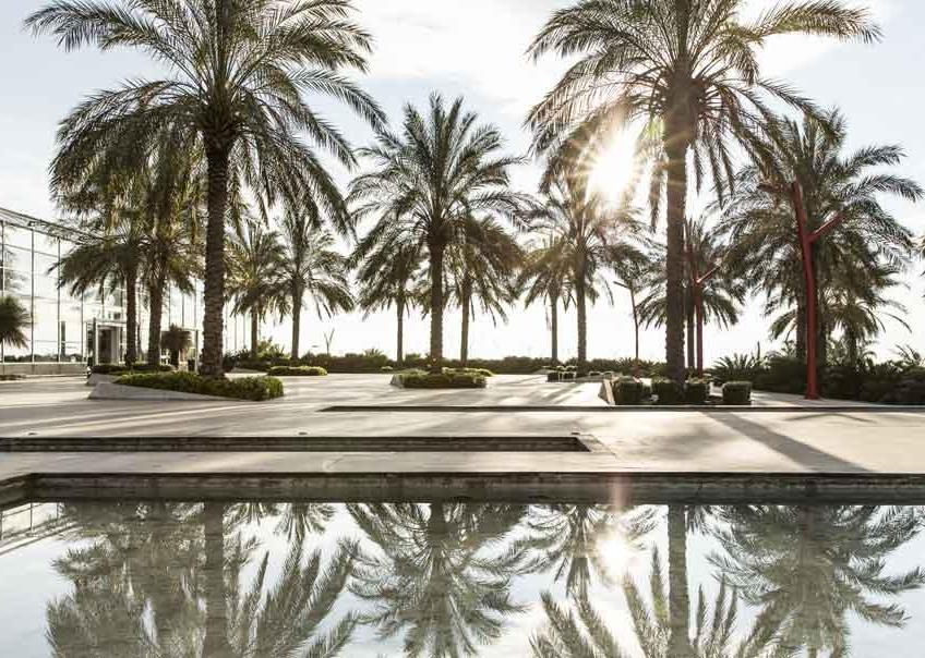 Un altro scorcio di giardini di Radicepura creati oltre 50 anni fa da Venerando Faro (PH Matteo Carassale)