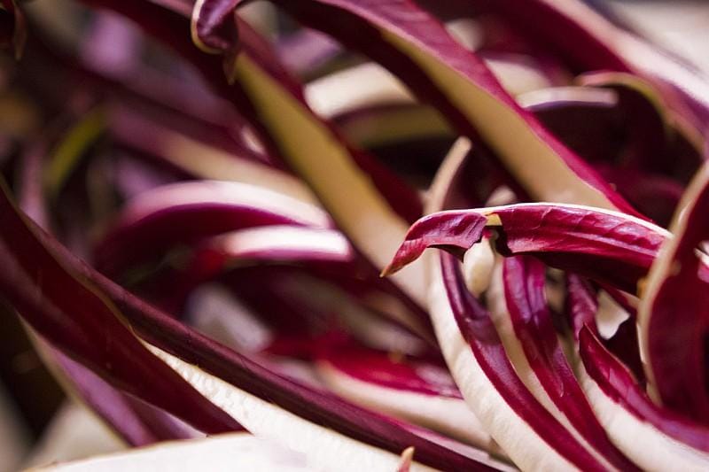 Il radicchio rosso trevigiano è un prodotto IGP ( Foto Provincia di Treviso - Fotografo Antonino Azzurro )