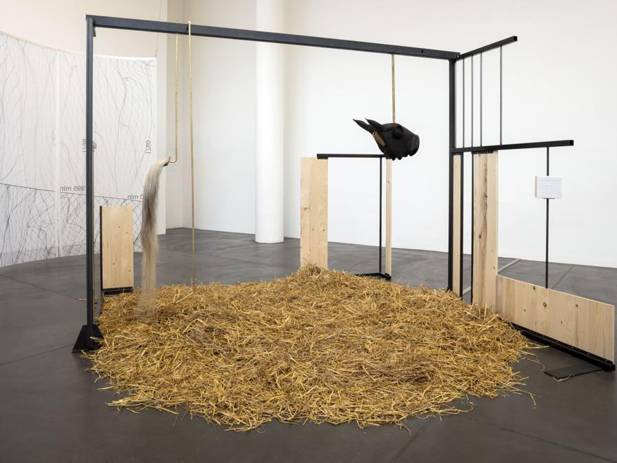 Marzia Migliora, La gabbia, 2019-2020. Elementi in ferro e legno, paglia, paraocchi, scatola per diorami, blocco di sale inciso, ferro e coda di cavallo, 265 x 300 x 300 cm. Foto di Renato Ghiazza. Courtesy: dell'artista; Museo MA*GA.