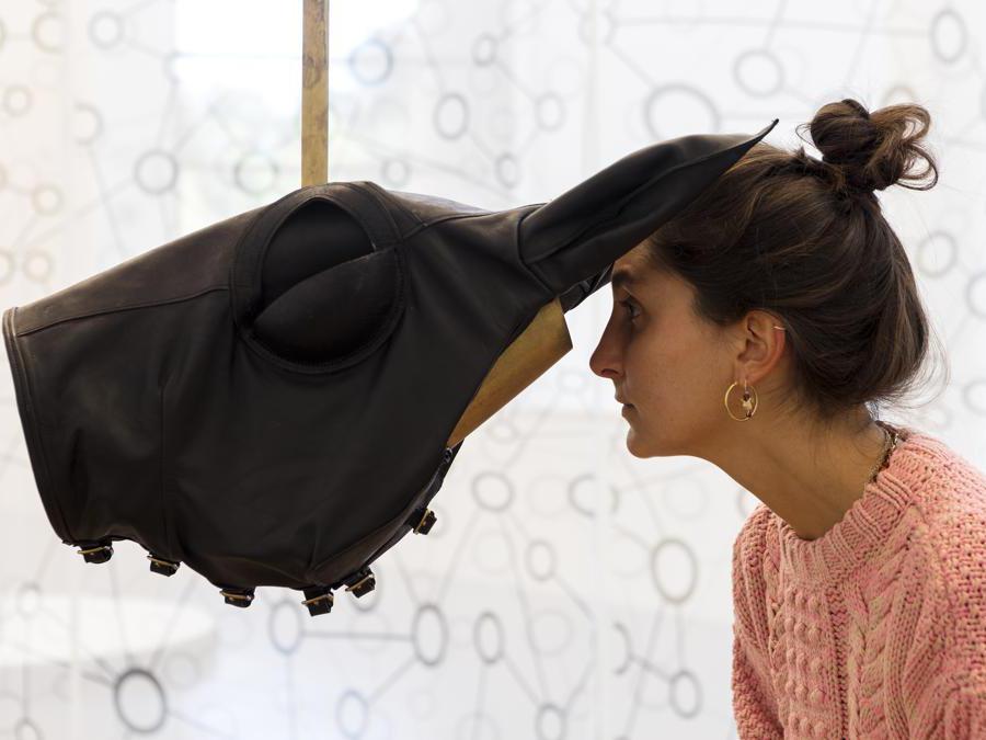 Marzia Migliora, La gabbia, 2019-2020. Elementi in ferro e legno, paglia, paraocchi, scatola per diorami, blocco di sale inciso, ferro e coda di cavallo, 265 x 300 x 300 cm. Foto di Renato Ghiazza. Courtesy: dell'artista; Museo MA*GA.
