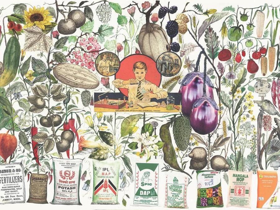 Marzia Migliora, Paradossi dell'abbondanza, 2017-2020. Set of 8 drawings, collage and mixed technique on paper, 1 steel dining hall cart, 8 wooden and glass trays cart 175x59x67cm; drawings 42x29cm each; basin 13x250cm. Courtesy dell'artista e Galleria Lia Rumma Milano/Napoli. Prezzo di ciascun carrello con 8 disegni: € 40.000 + iva.