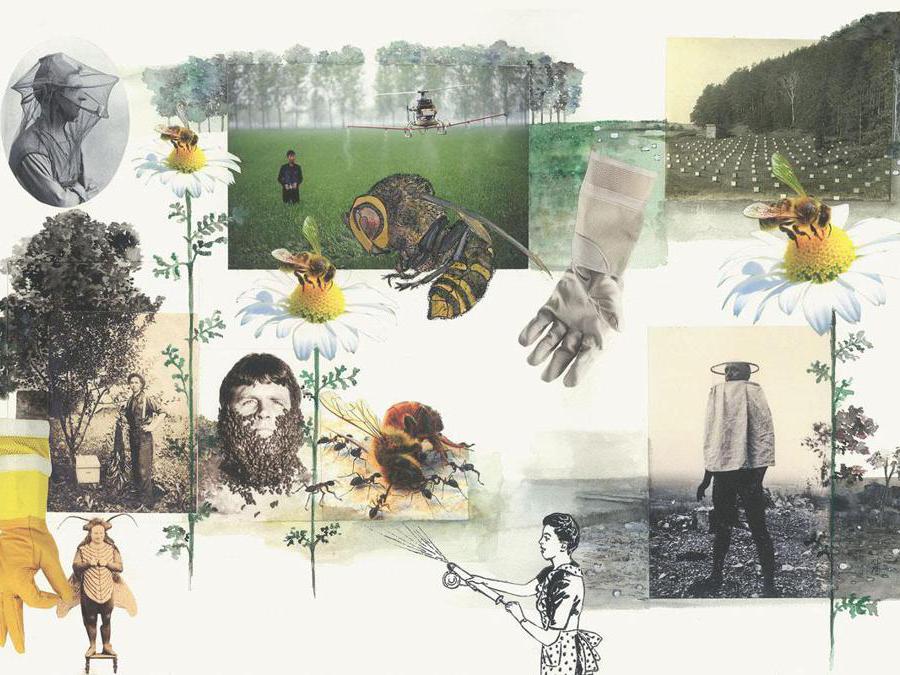 Marzia Migliora, Paradossi dell'abbondanza, 2017-2020. Set of 8 drawings, collage and mixed technique on paper, 1 steel dining hall cart, 8 wooden and glass trays cart 175x59x67cm; drawings 42x29cm each; basin 13x250cm. Courtesy dell'artista e Galleria Lia Rumma Milano/Napoli. Prezzo di ciascun carrello con 8 disegni: € 40.000 + iva.