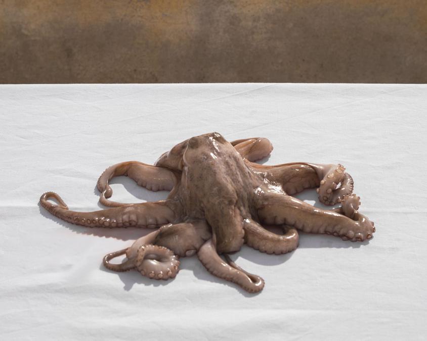 Jacopo Valentini, “Superlunare”, 2020. Courtesy: MiBACT/DGCC, Triennale Milano, MUFOCO