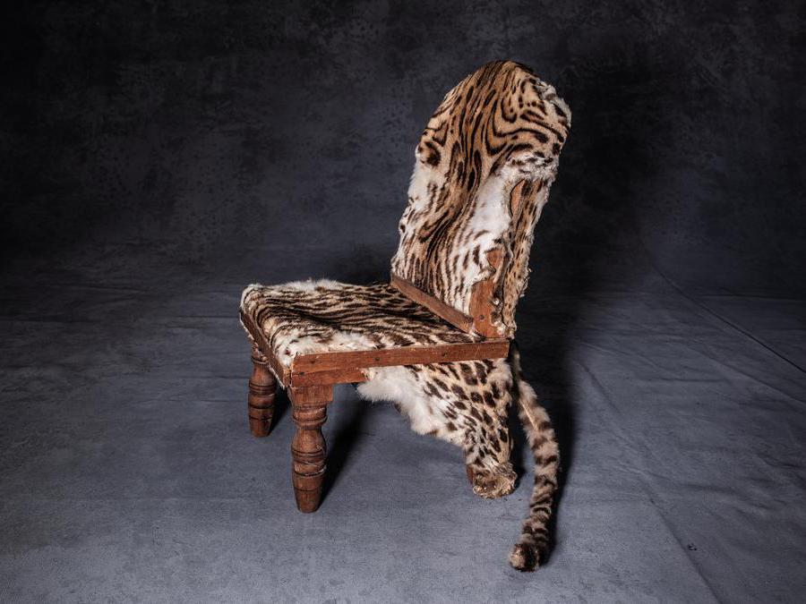 <b>La sedia di Ocelot Ocelot</b> The National Wildlife Property Repository, U.S. Fish and Wildlife Service, Denver, Colorado, Stati Uniti d’America “Trovando questo oggetto al valico di frontiera, ho pensato che fosse una sedia antica, che già di per sé rappresentava l’estrema prevaricazione sull’animale. Invece, si è rivelato non essere un oggetto del passato, bensì un pezzo appena assemblato. Ad ogni modo, è un segno di disprezzo per la funzione della specie all’interno del suo ecosistema. Questi felini sono stati cacciati per la loro pelliccia altamente pregiata sin dall’epoca degli Aztechi. A causa delle loro dimensioni relativamente piccole, per realizzarne un singolo coprispalle venivano uccisi venticinque ocelot. Decenni di duro lavoro hanno accresciuto la consapevolezza in merito alla precaria situazione dell’ocelot e, per fortuna, hanno visto diminuire la domanda per la loro pelliccia. Ciononostante, molti ocelot vengono ancora cacciati per il disegno unico del loro manto.” - Britta Jaschinski 