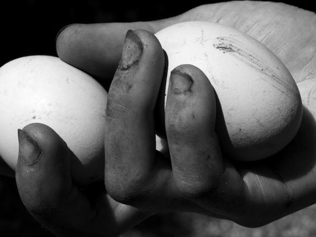 Denis Piel, le sue foto nella mostra “Down to Earth” 