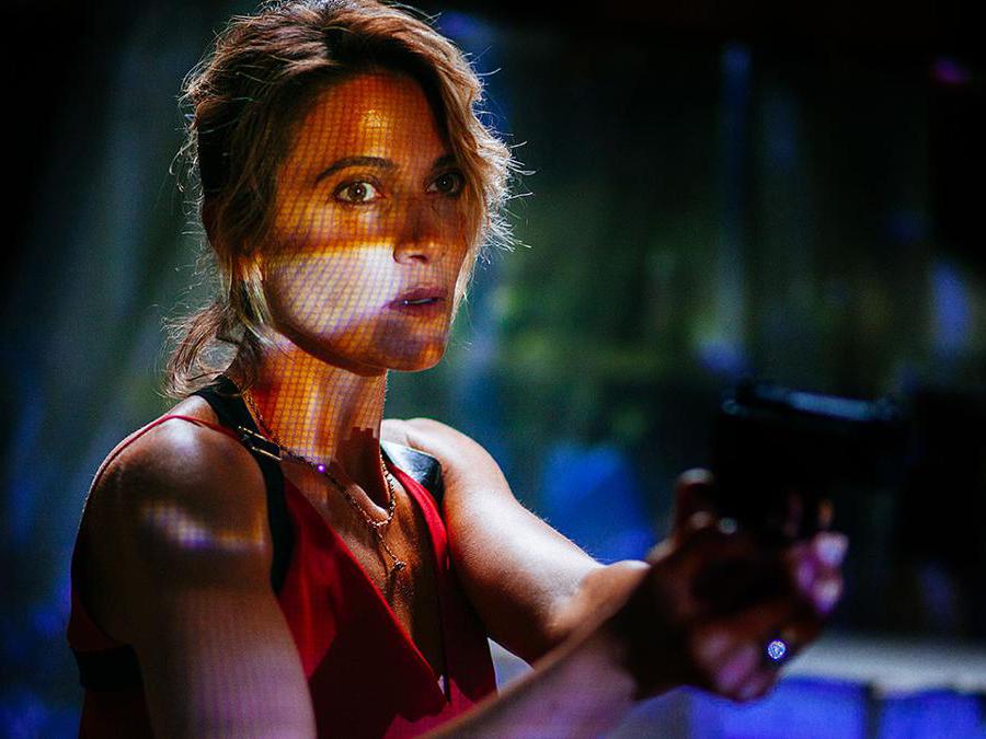 Il talento del calabrone