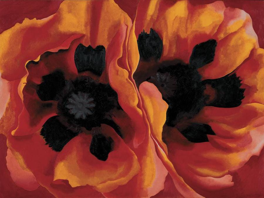 Georgia O’ Keeffe Oriental_Poppies_1927 Oil on Canvas, 76.7x102.1 cm. Collection of the Frederick R.Weisman Art Museum at the University of Minnesota, Minneapolis.Museum purchase.George O’ Keeffe Museum /2021. Prolitteris Zurich