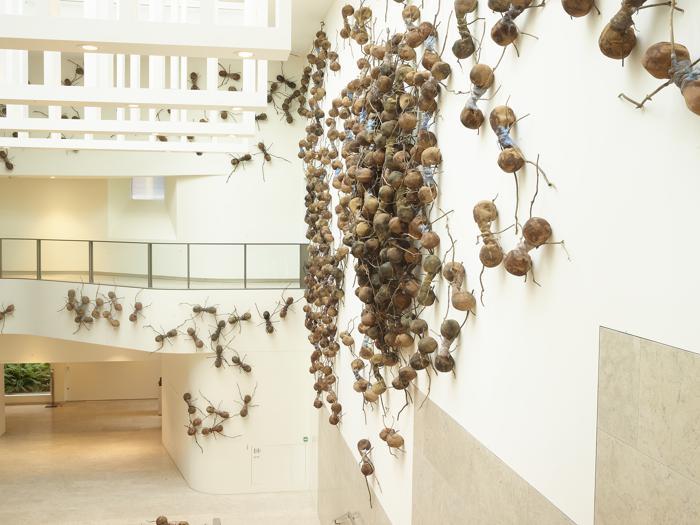 Le formiche giganti di Gomezbarros invadono il Rijkmuseum di Amsterdam