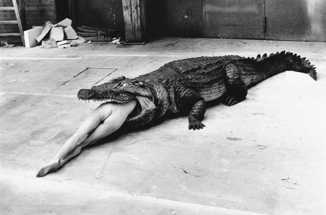 Helmut Newton Crocodile, Pina Bausch Ballett, Wuppertal, 1983 (Fonte: Helmut Newton Foundation)