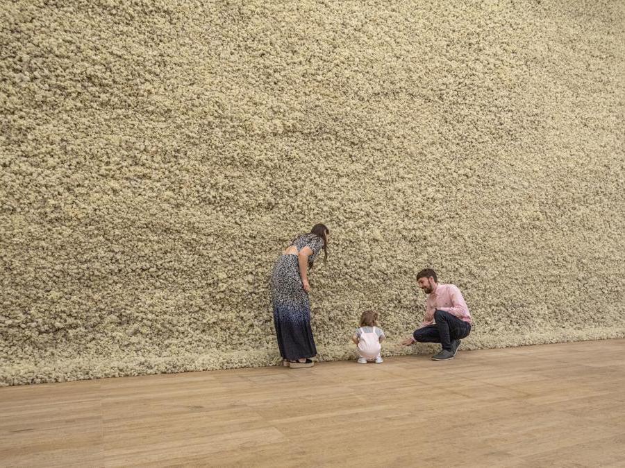Olafur Eliasson «Moss wall» 1994. Muschio di renna, legno, filo metallico. Dimensione variabile. «Tate Modern, London» 2019 (Photo: Anders Sune Berg. Per gentile concessione dell'artista - Berlin, Tanya Bonakdar Gallery, New York / Los Angeles) 1994 Olafur Eliasson