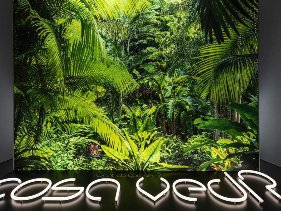 Nazione delle Piante-Triennale Milano 2019