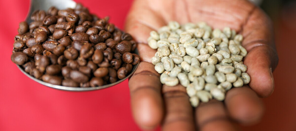 6) Fairtrade / Nyokabi Kahura / Fairpicture