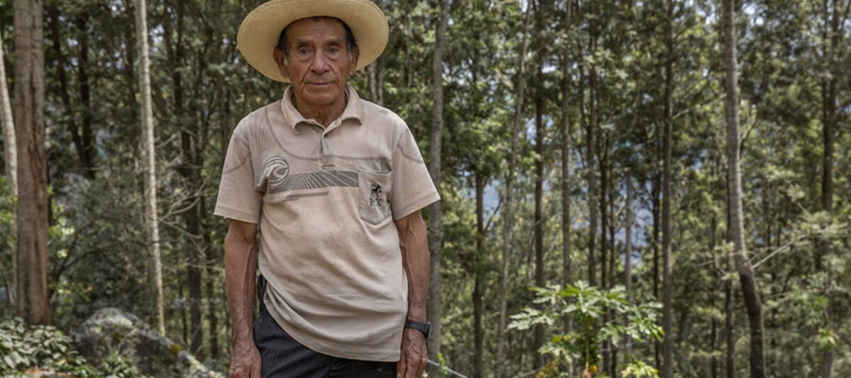 7) Fairtrade Foundation / Eduardo Martino