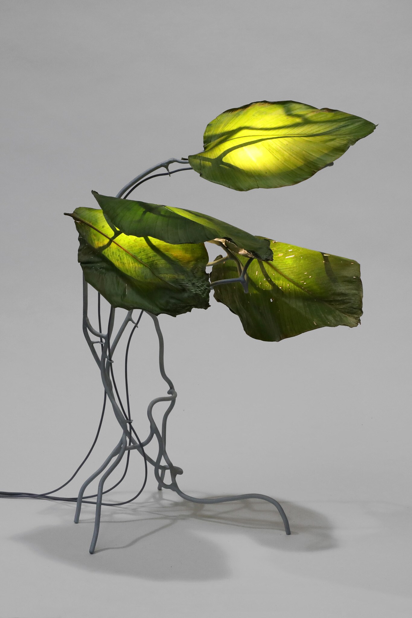 Lampada-scultura Protoplasting Nature: Encoded Symbols 00, realizzata con foglie in resina epossidica e struttura in filo d'acciaio zincato, Marcin Rusak per CARWAN GALLERY (24.400 €).