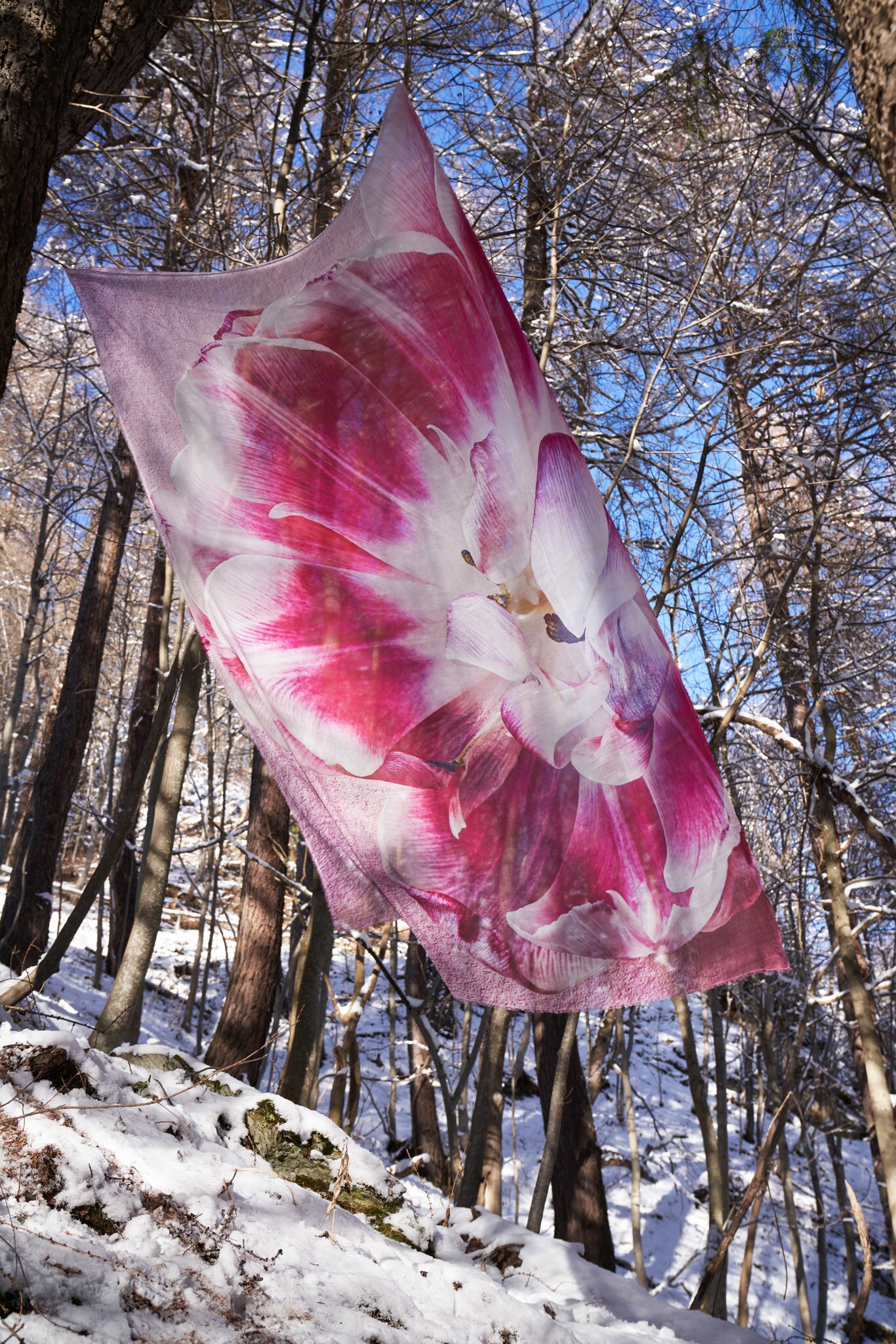 Faliero Sarti Flow(ers). Capsule di 7 maxi foulard in seta stampata, realizzata in collaborazione con il fotografo Francesco Dolfo che ha realizzato i soggetti e le immagini.