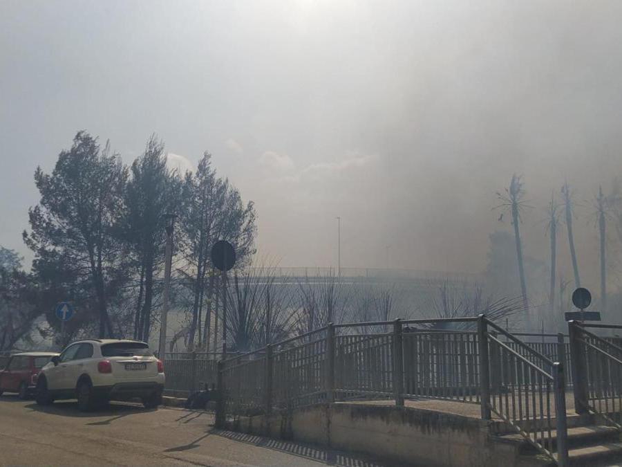 (Ansa / Lorenzo Dolce)