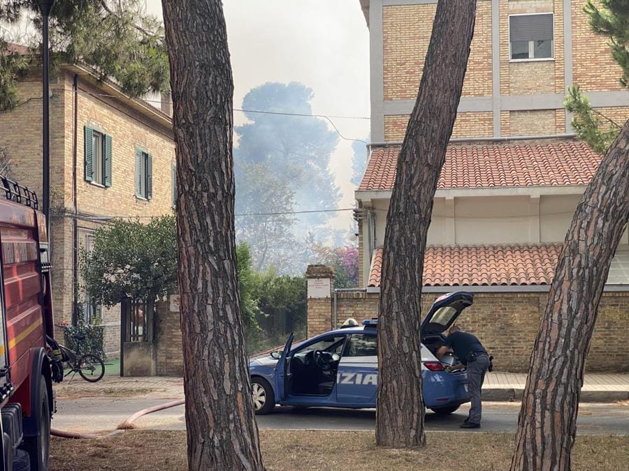 (Ansa / Lorenzo Dolce)