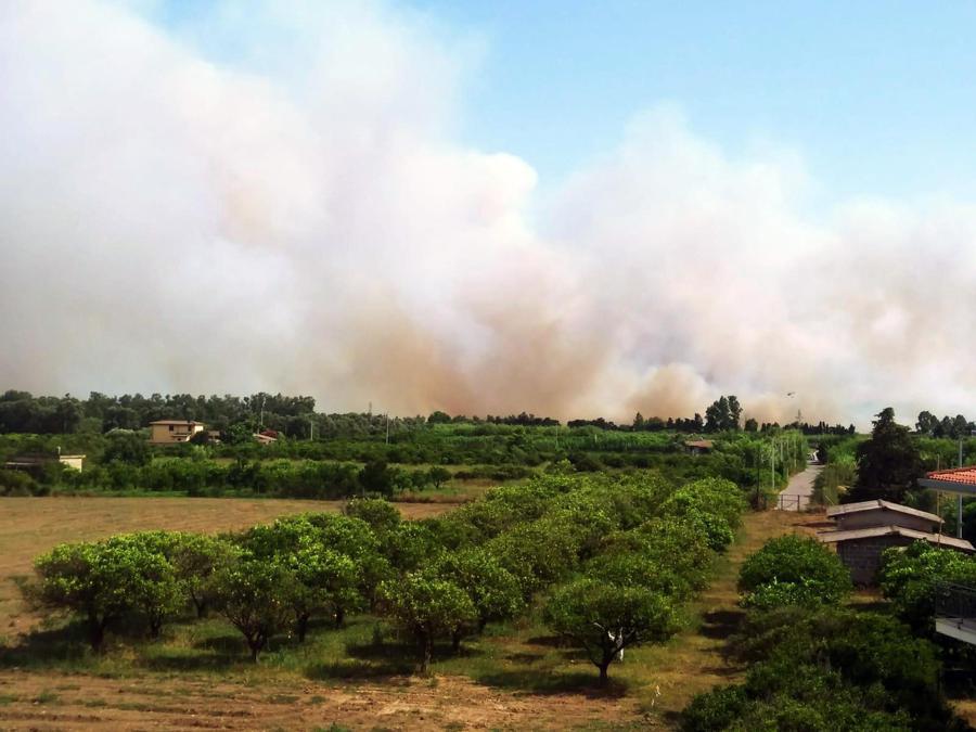Collina dietro il lido di Orrì a Tortolì (Ogliastra). ANSA/Maria Giovanna Fossati 