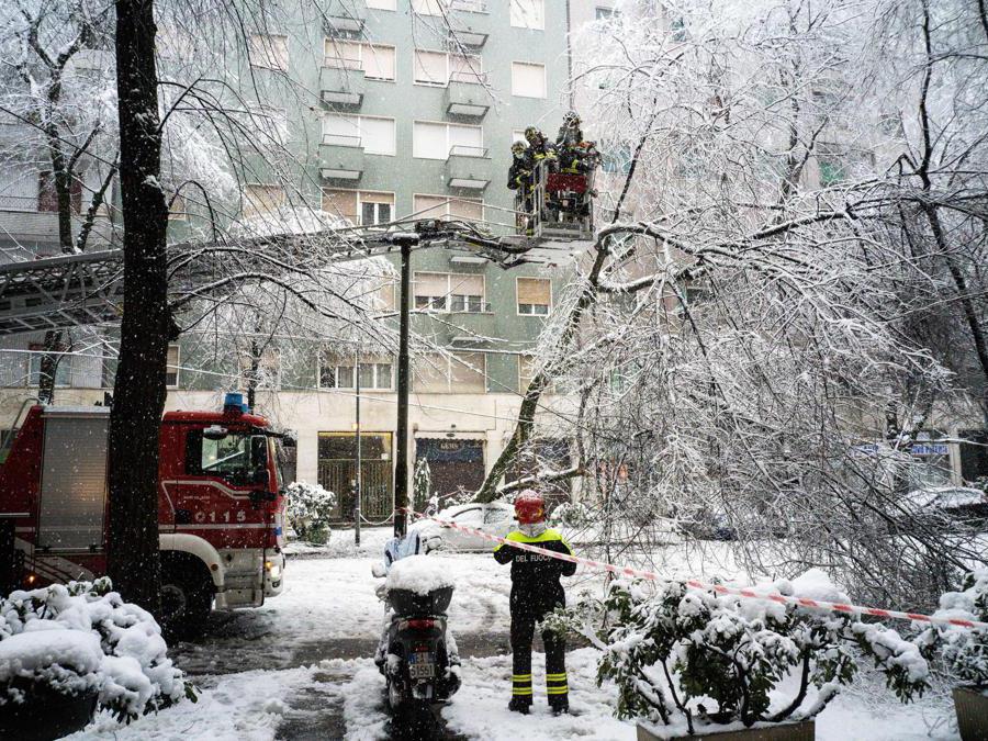 I vigili del fuoco lavorano dove gli alberi caduti lungo via Raffaello Sanzio hanno tranciato i cavi del tram a Milano, 28 dicembre 2020. ANSA/FOTOGRAMMA/Stefano De Grandis