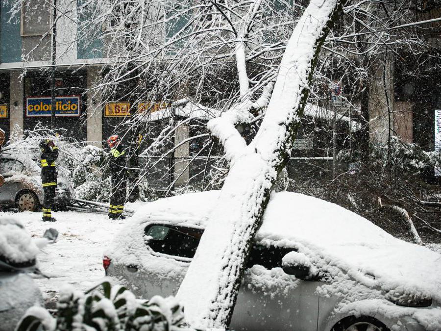 I vigili del fuoco lavorano dove gli alberi caduti lungo via Raffaello Sanzio hanno tranciato i cavi del tram a Milano, 28 dicembre 2020. ANSA/FOTOGRAMMA/Stefano De Grandis
