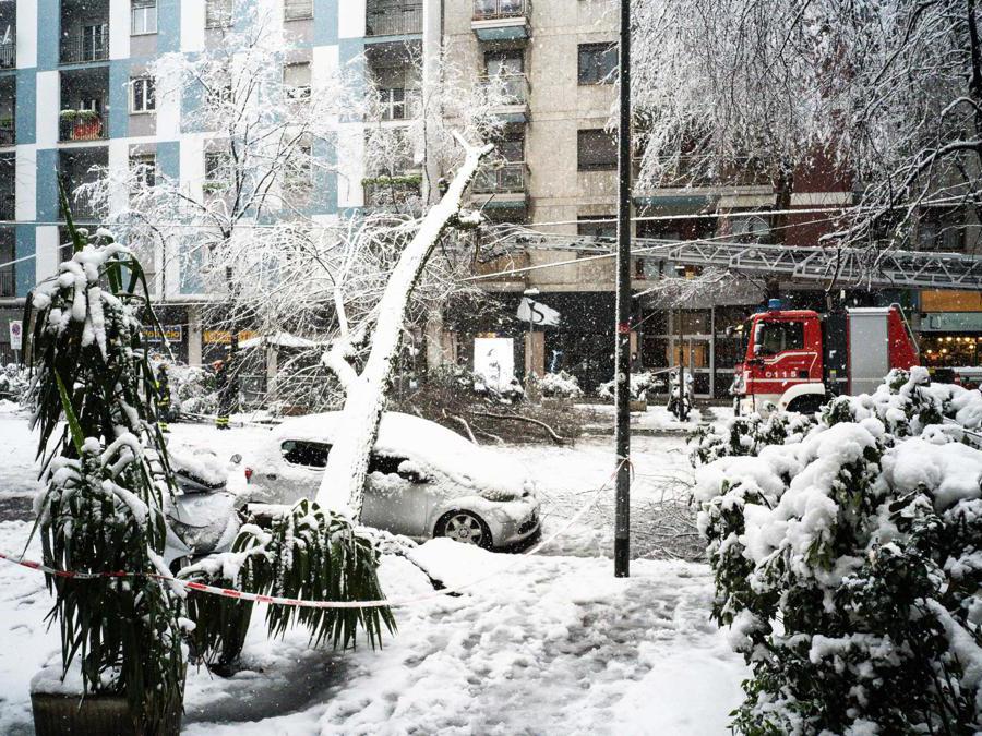 Gli alberi caduti lungo via Raffaello Sanzio hanno tranciato i cavi del tram a Milano, 28 dicembre 2020. ANSA/FOTOGRAMMA/Stefano De Grandis