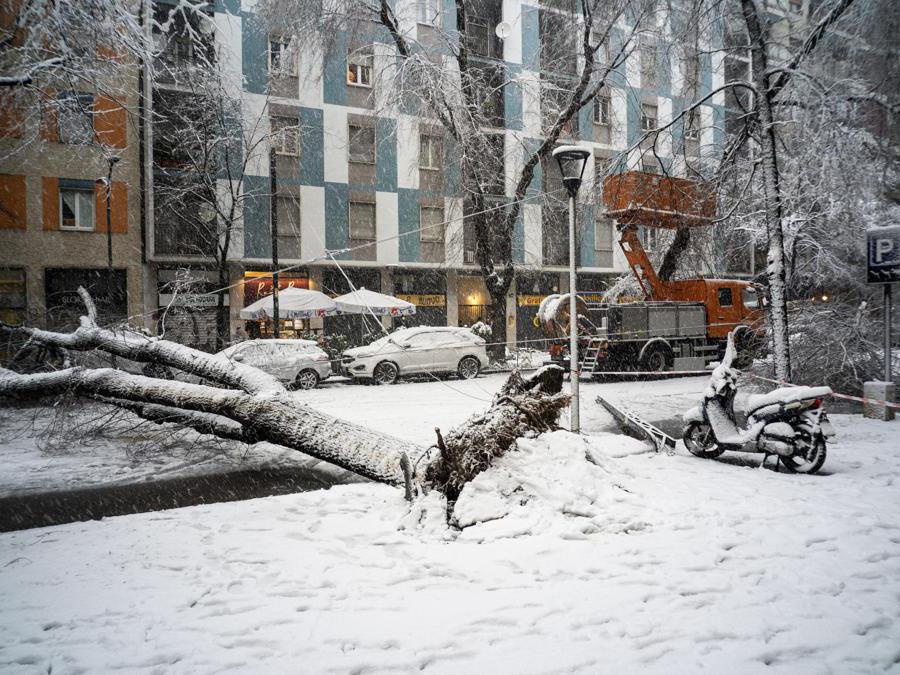 Gli alberi caduti lungo via Raffaello Sanzio hanno tranciato i cavi del tram a Milano, 28 dicembre 2020. ANSA/FOTOGRAMMA/Stefano De Grandis