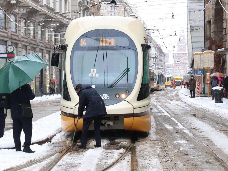 (foto IPP Clemente Marmorino)