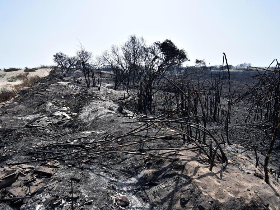 Stabilimenti balneari distrutti dalle fiamme vicino a Catania. (Ansa / Orietta Scardino)