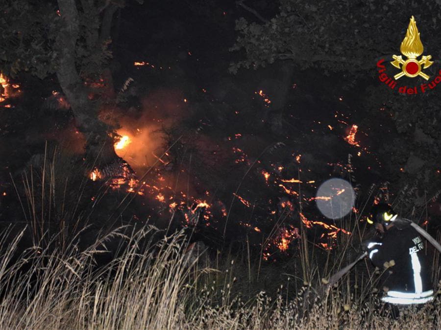 I vigili del fuoco intervengono per spegnere gli incendi divampati tra Piana degli Albanesi, Strasatto Altofonte e San Giuseppe Jato. (Epa / Vigili del Fuoco) 