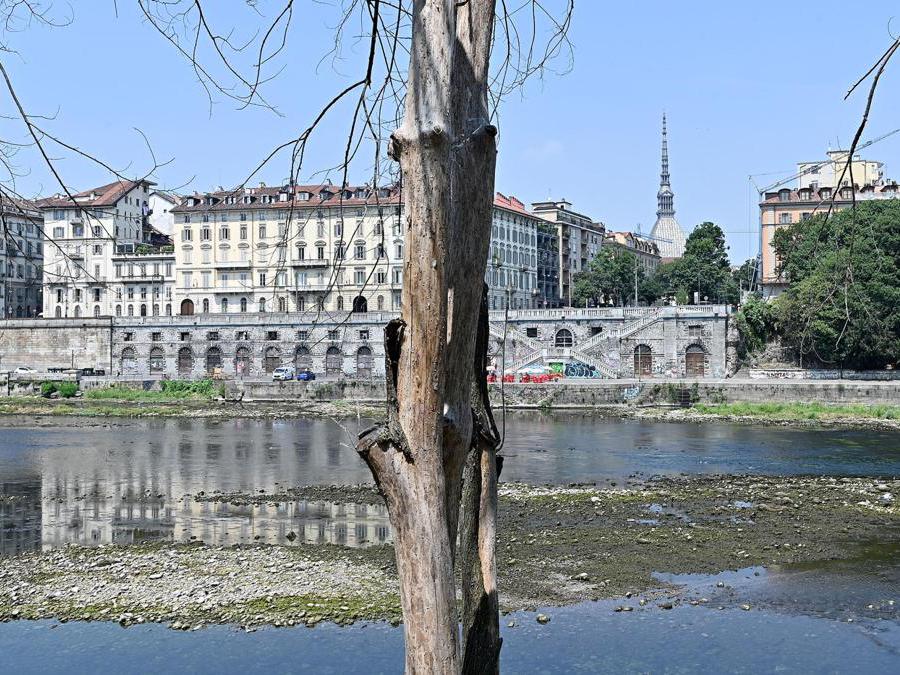  Torino. (Ansa/Alessandro Di Marco)