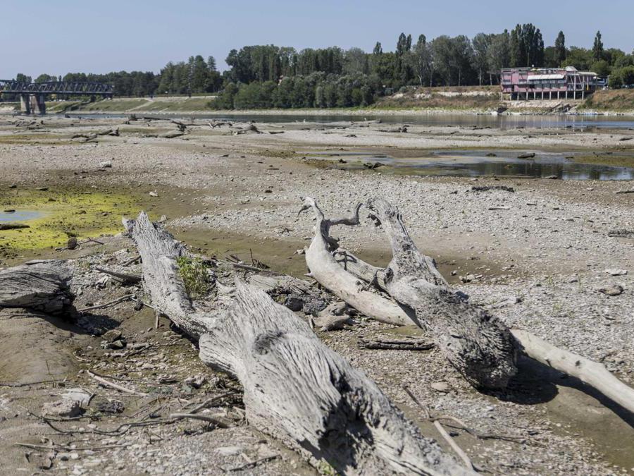  ANSA / Filippo Venezia