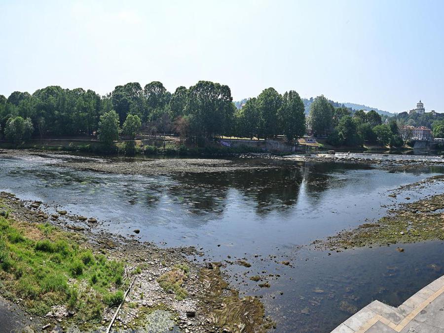  Torino. (Ansa/Alessandro Di Marco)