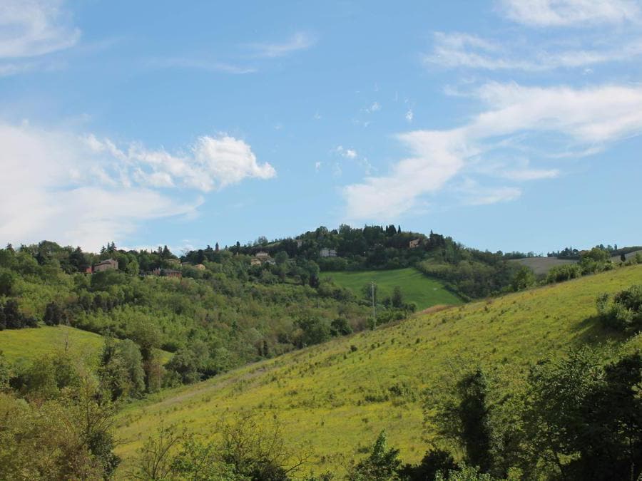 Villa Bella è immersa nella natura