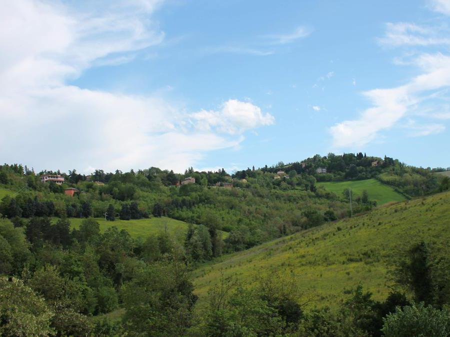 I colli bolognesi da Villa Bella